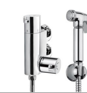 Thermostatic Douche  Handheld Shower Sprayer