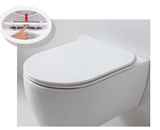 D-Shaped Stainless Steel Hinge  Soft Close Toilet Seat